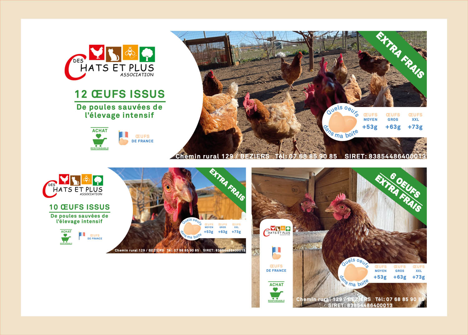 Communication pour le milieu associatif : Aux chats et plus