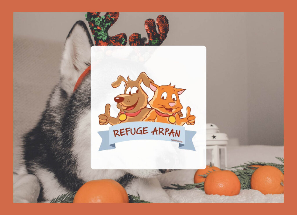 Création de l'affiche de Noël pour l'Arpan de Narbonne