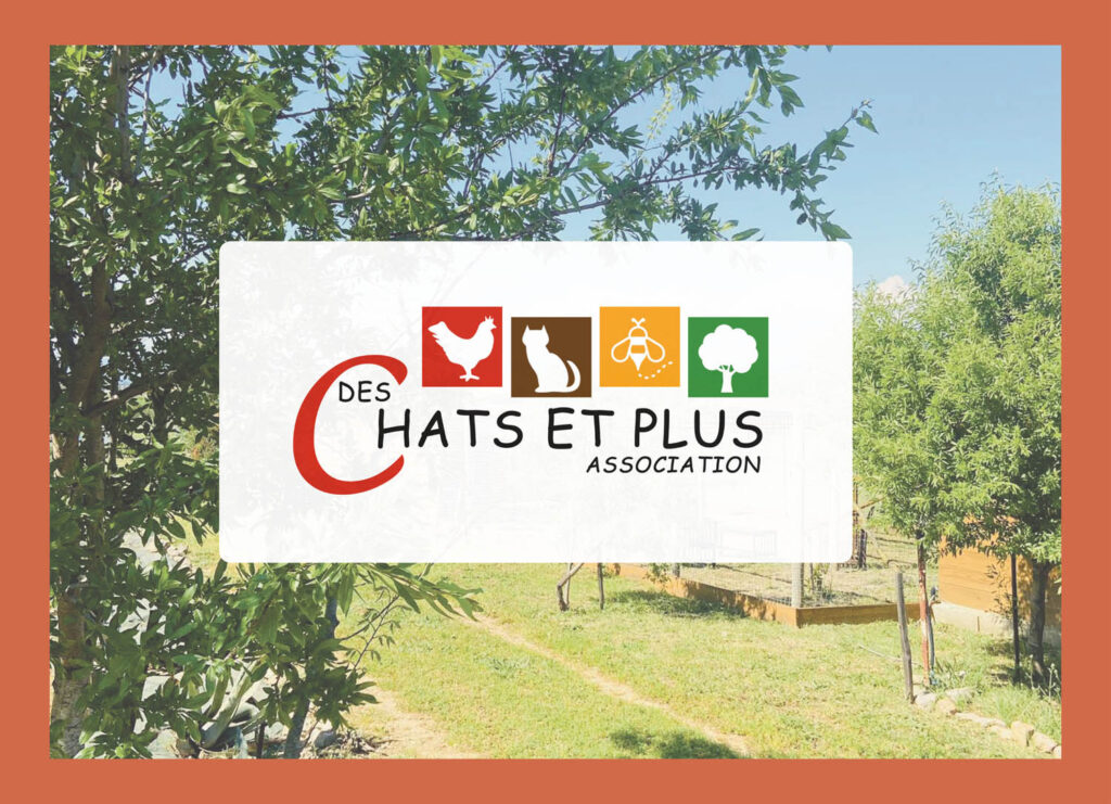 Création de la charte graphique pour Aux chats et plus à Béziers